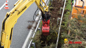 L'efficacité de la pince à tri modifiée par Locarmor sur la RN165